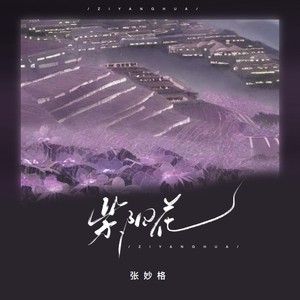 张妙格-紫阳花[MP3_LRC]_MP3下载