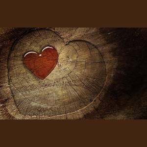 我的心痛你知道吗