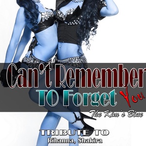 Can't Remember to Forget You: Tribute to Rihanna, Shakira