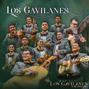 Los Gavilanes