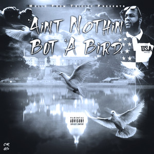 Ain't Nothing But a Bird (Explicit)