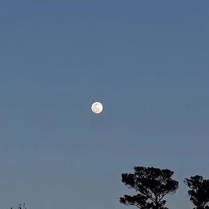 THE STORY OF US (feat. sudo & grae) (Explicit)