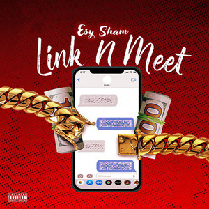 Link N Meet (Explicit)