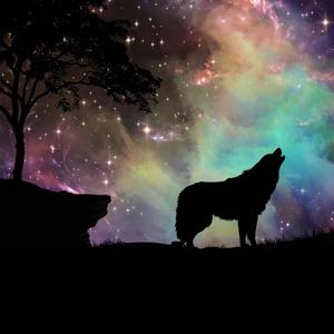 Love Life and Love Your Self