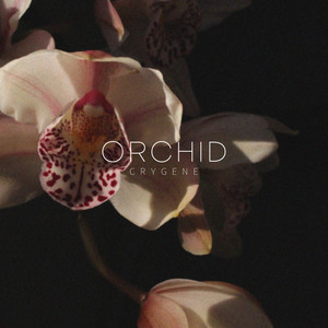Orchid