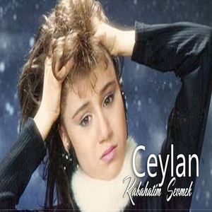 Yarim Ayrı Gezme