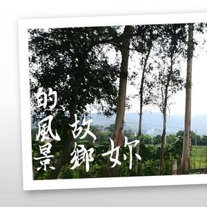 你故乡的风景 demo