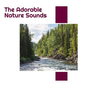 The Adorable Nature Sounds