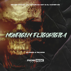 Montagem Fligorígica (Explicit)