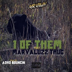 1 Of Them(feat. Marvaluzz Thug) (Explicit)