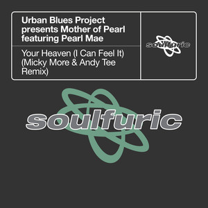 Your Heaven (I Can Feel It) (Micky More & Andy Tee Extended Remix)