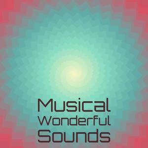 Musical Wonderful Sounds