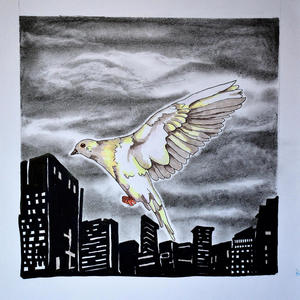 Skyline Pigeon (feat. Marcus Ekroth)