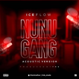 Nunu Gang (Acoustic Version)