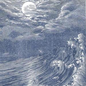 Tulipani a terra (feat. MORE REAL) (Explicit)