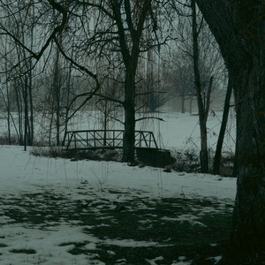 Petrichor