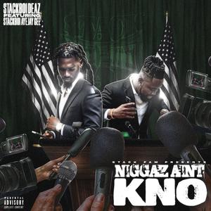 Niggaz Aint Kno (feat. StackBoi Jake) (Explicit)