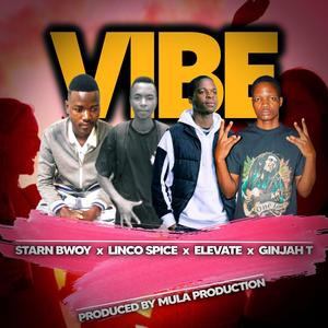 Vibe (feat. Starn Bwoy, Linco Spice & Elevate)