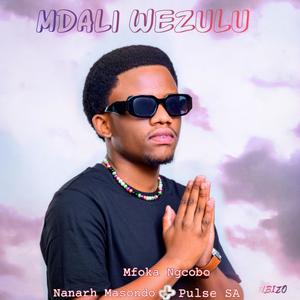 Mdali wezulu (feat. Pulse SA & Nanarh Masondo)