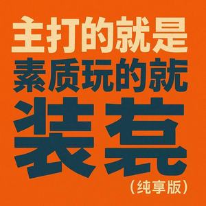 主打的就是素质玩的就是装 (DJ纯享版)