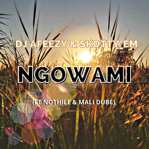 Ngowami