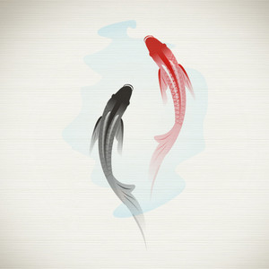 【葫芦丝】锦鲤抄