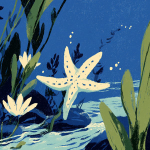 sea depth tone