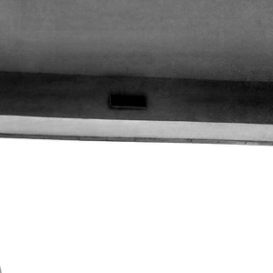 Between Best Buds and My GPA