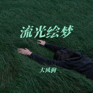 入青云-大风狗