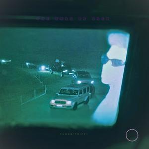 Whole Lotta (feat. WH1PLASH & SpringboyLit) (Explicit)