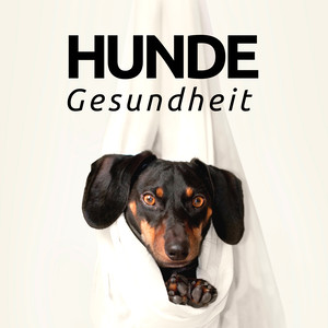 Hunde Gesundheit - entspannende Musik für Hunde CD