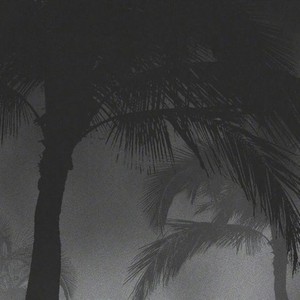 人间失格随笔 (Demo)