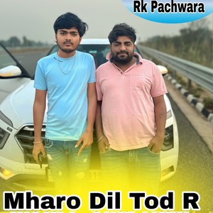 Mharo Dil Tod R Jabali