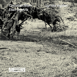 Ellen Ugelvik - Liten Fugl (B)