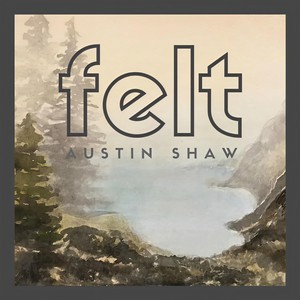 Austin Shaw - Almost Tears