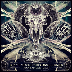 CHANGING SHAPES OF CONSCIOUSNESS