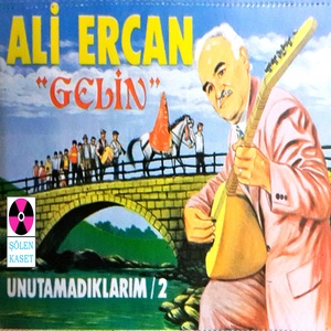 Fındık Dalları