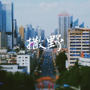 撒野 国乐版双声道