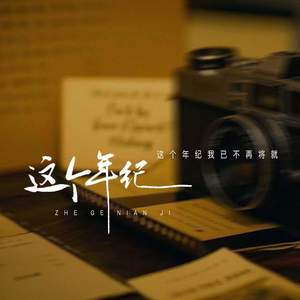 这个年纪 (这个年纪我已不再将就)