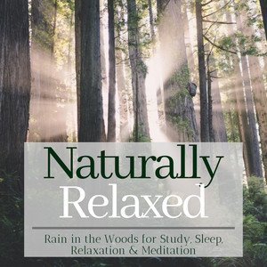 Naturally Relaxed - Rain in the Woods for Study, Sleep, Relaxation & Meditation