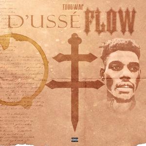 D'usse Flow (Explicit)