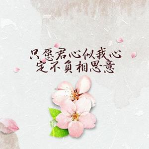 可念不可说奇哥混音版