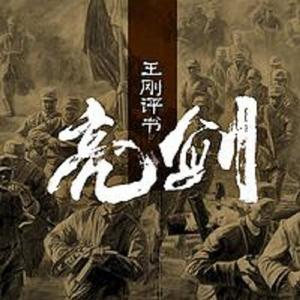 王刚：亮剑（54回）