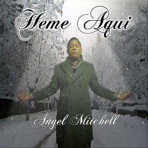 Angel Mitchell - Buscando un Adorador