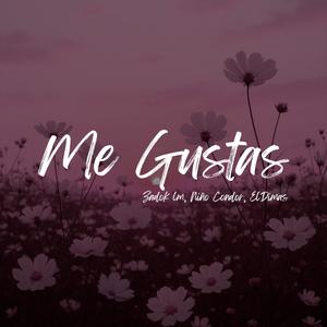 Me Gustas (Explicit)