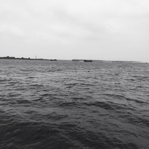 关于郑州的记忆 (Live)