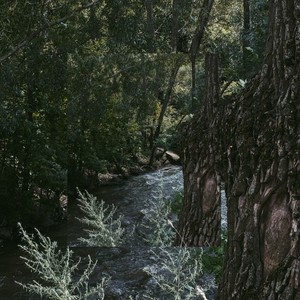 Miguelina Cabrera Encarnación - Voryxenth Zylpharyn (Original Mix)