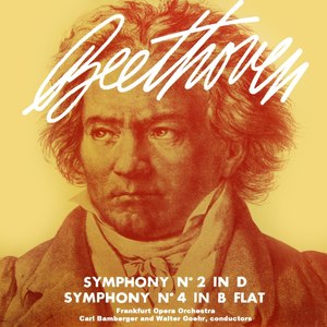 Symphony No. 2 in D Major, Op. 36 - II. Allegro con brio largetto