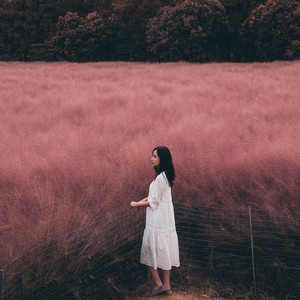 Bonfire in forest (Live)