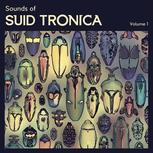 Sounds of Suid Tronica, Vol. 1